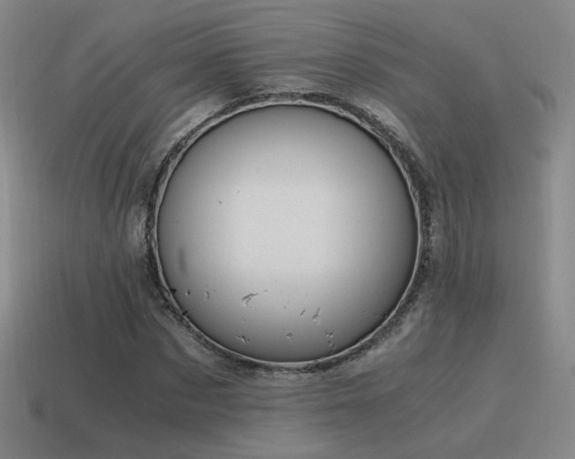 X0000115480873200911061215