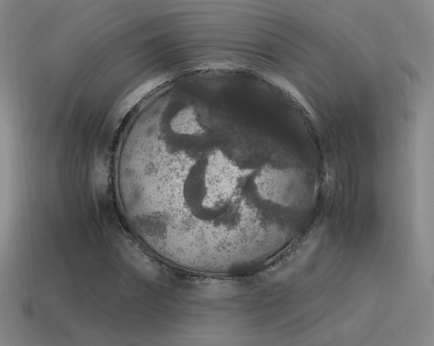 X0000115480874200911061215