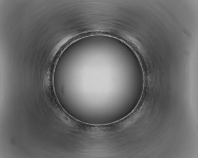 X0000115480875200911061215