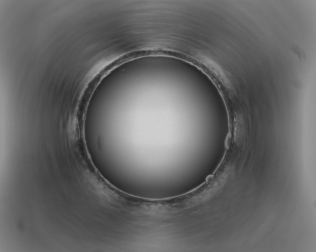 X0000115480876200911061215