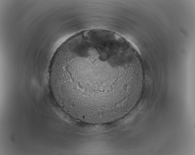 X0000115480879200911061215