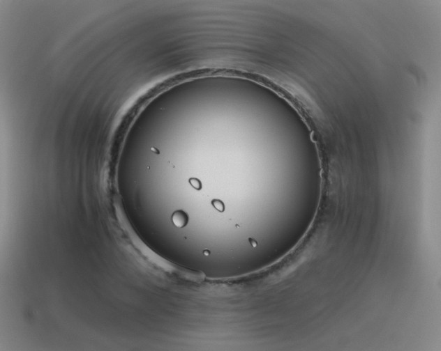 X0000115480880200911061215