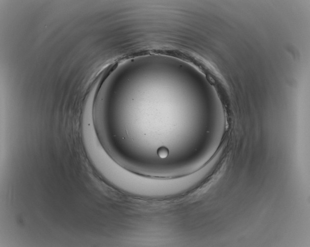 X0000115480881200911061215