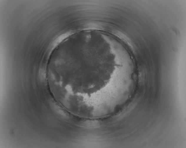 X0000115480882200911061215