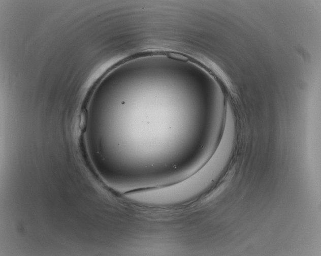 X0000115480885200911061215