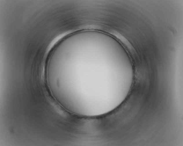 X0000115480886200911061215