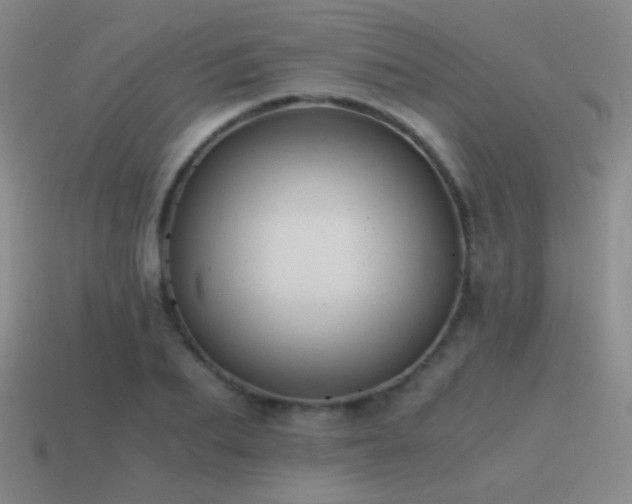 X0000115480887200911061215