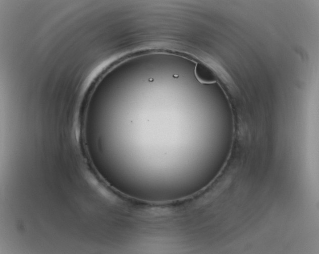X0000115480888200911061215