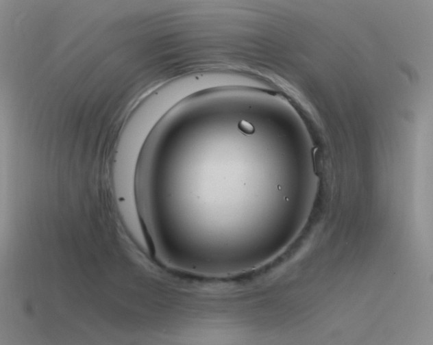 X0000115480889200911061215