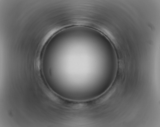 X0000115480891200911061215