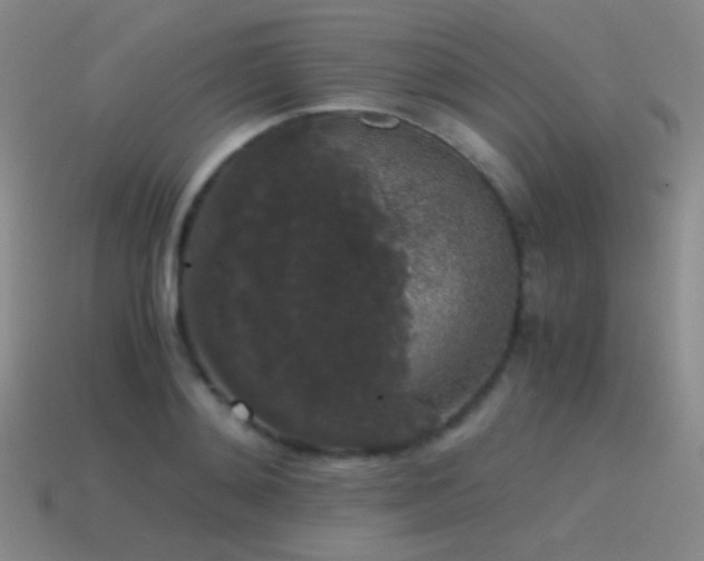 X0000115480892200911061215