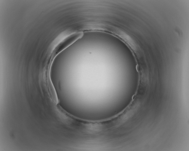 X0000115480893200911061215