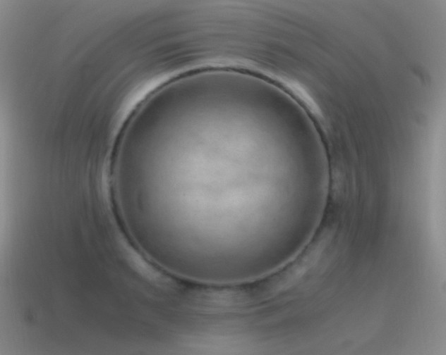 X0000115480895200911061215