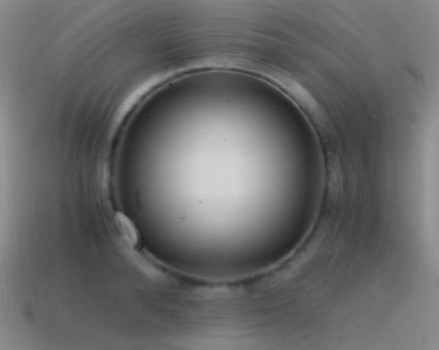 X0000115480896200911061215
