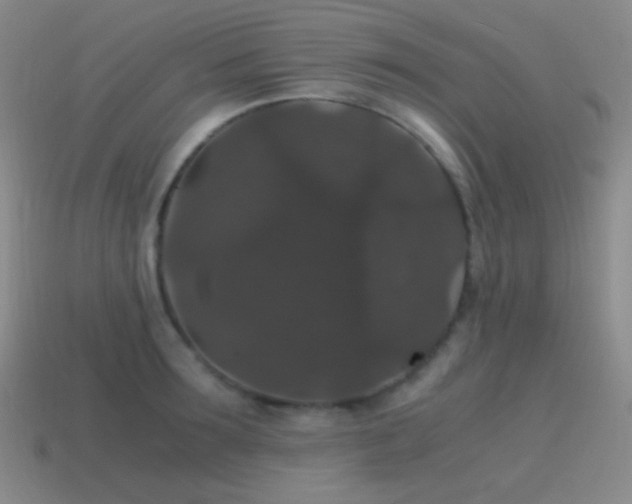 X0000115480899200911061215