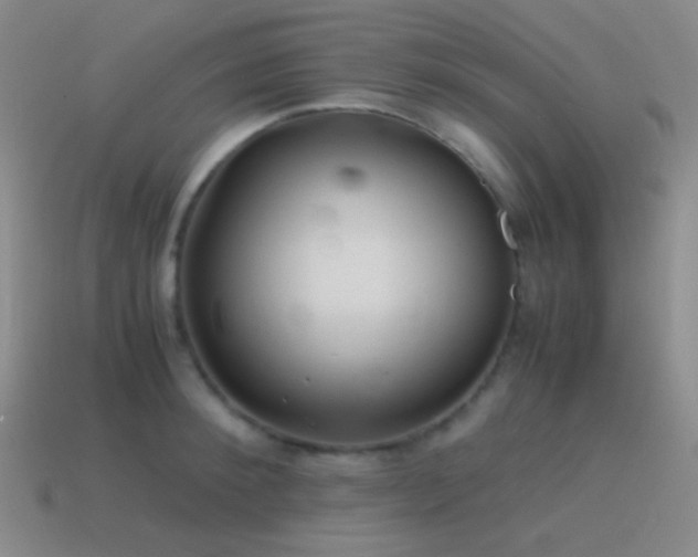 X0000115480900200911061215