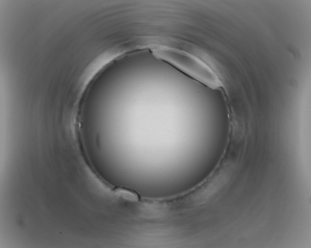 X0000115480901200911061215