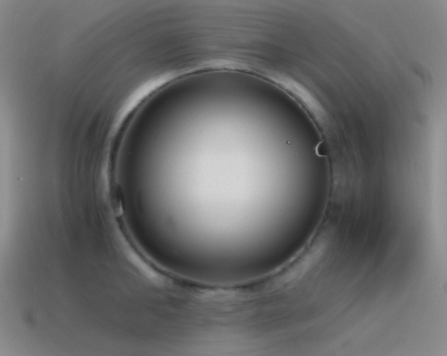 X0000115480902200911061215