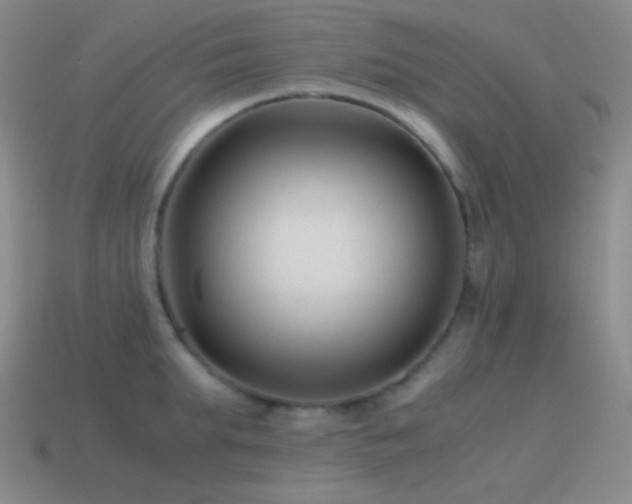 X0000115480903200911061215