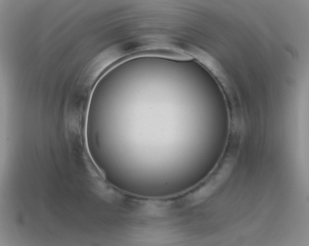 X0000115480905200911061215