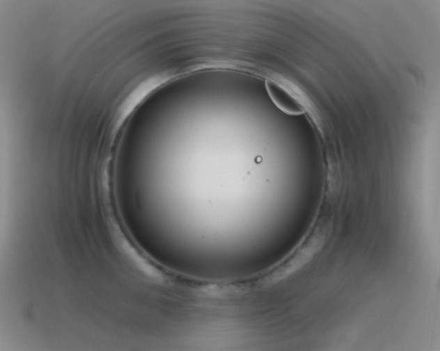 X0000115480906200911061215