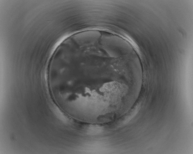 X0000115480907200911061215
