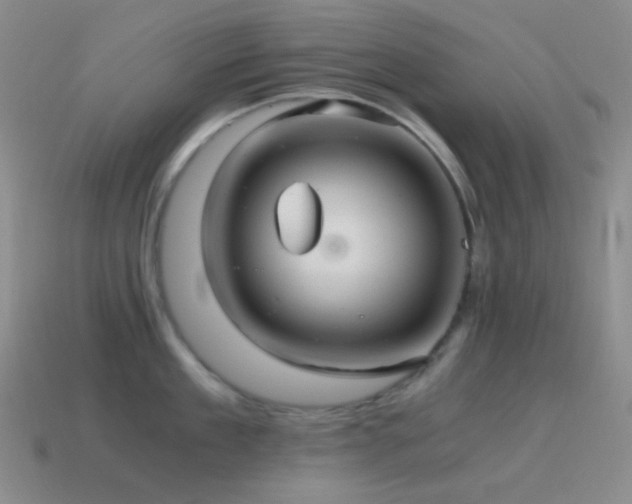 X0000115480909200911061215