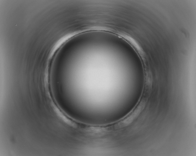 X0000115480910200911061215