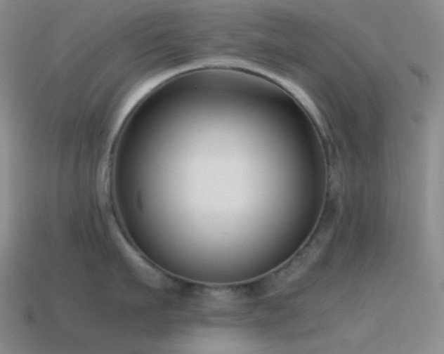 X0000115480911200911061215