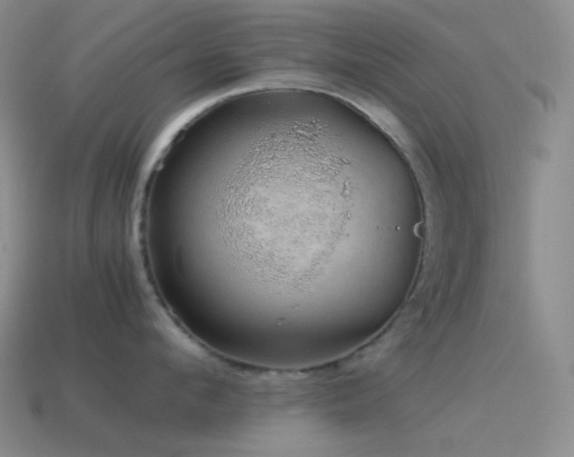 X0000115480912200911061215