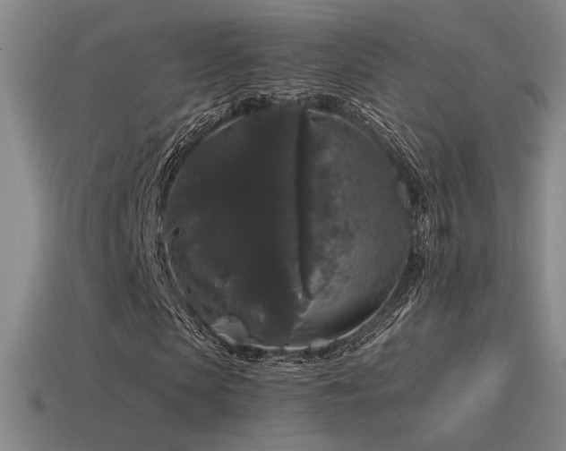 X0000115480913200911061214