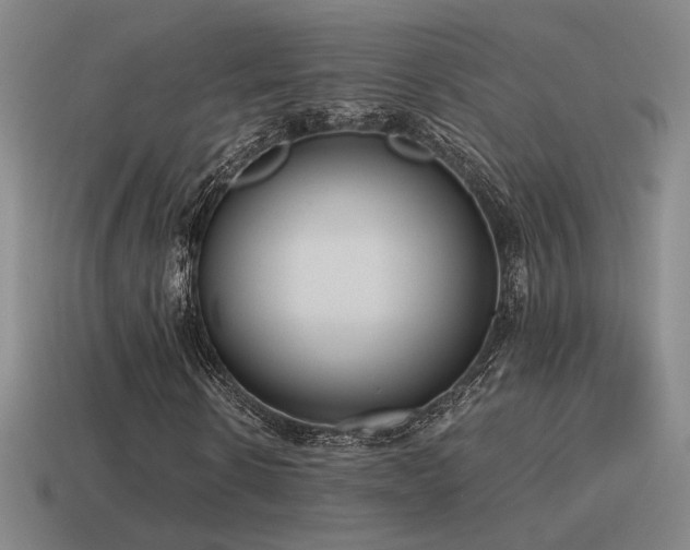 X0000115480914200911061214