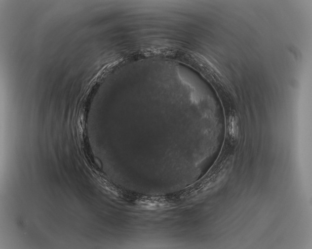 X0000115480915200911061214