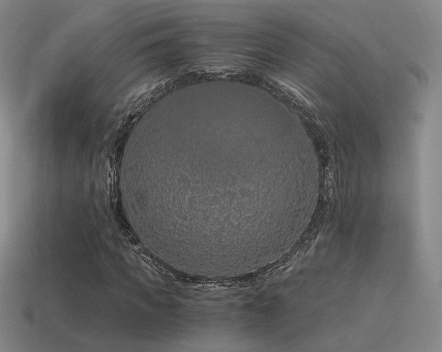 X0000115480917200911061214