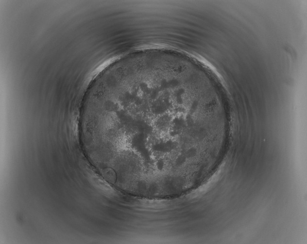 X0000115480921200911061214