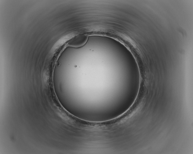 X0000115480922200911061214