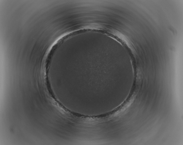 X0000115480923200911061214