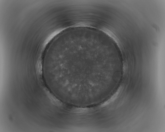 X0000115480925200911061214