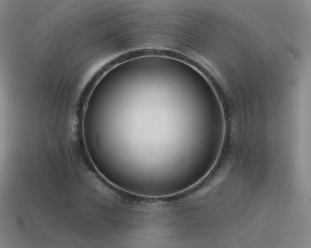 X0000115480926200911061214