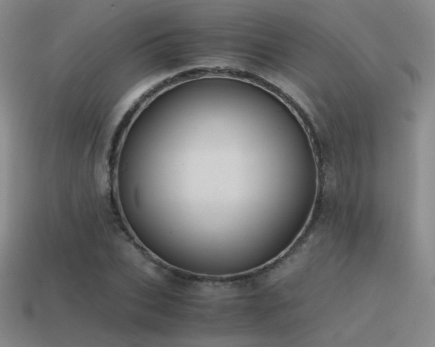X0000115480927200911061214