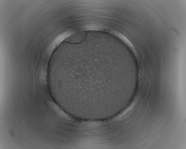 X0000115480930200911061214