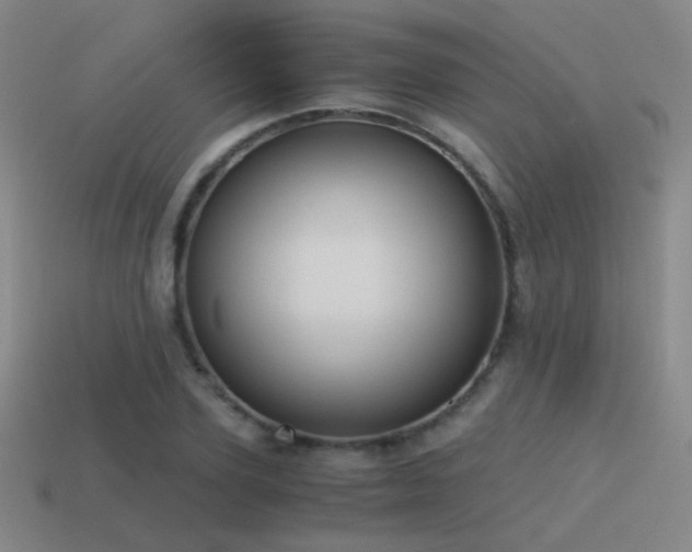 X0000115480931200911061214