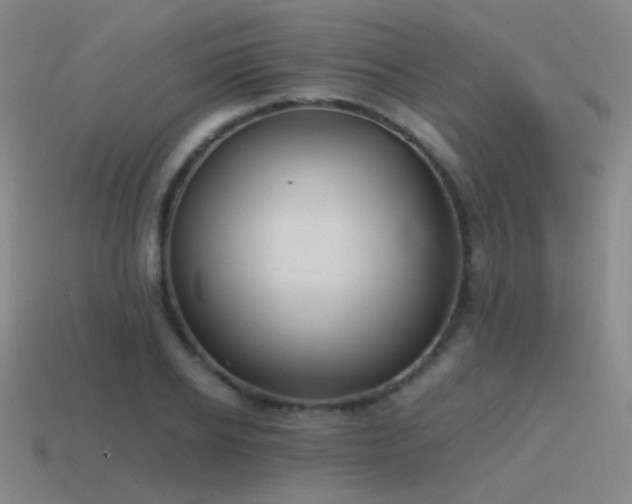 X0000115480934200911061214