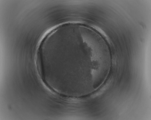 X0000115480935200911061214