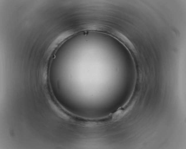 X0000115480938200911061214