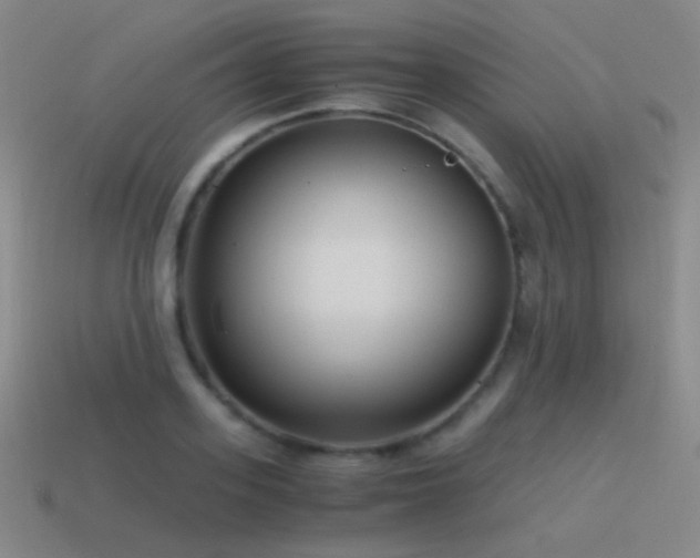 X0000115480939200911061214