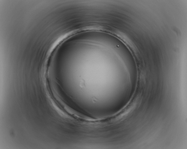 X0000115480941200911061214