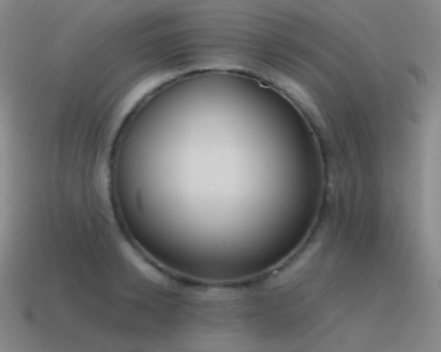 X0000115480942200911061214