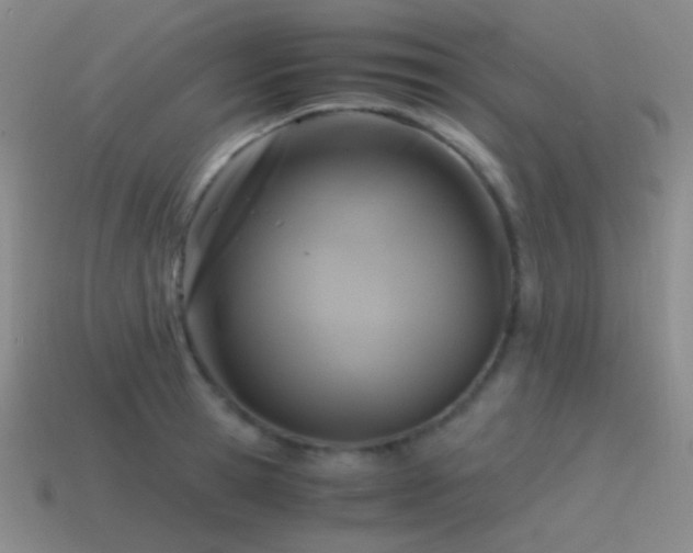X0000115480945200911061214