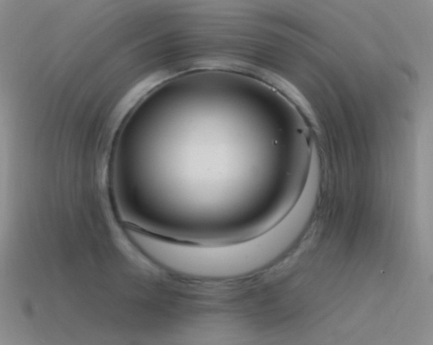 X0000115480946200911061214